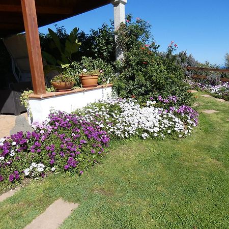 Comino Alto Agriturismo E Appartamenti Siniscola Kültér fotó