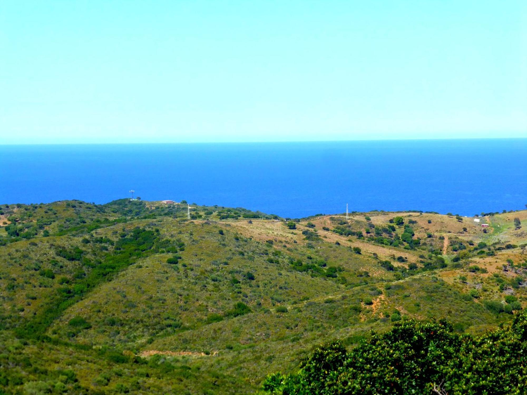 Comino Alto Agriturismo E Appartamenti Siniscola Kültér fotó