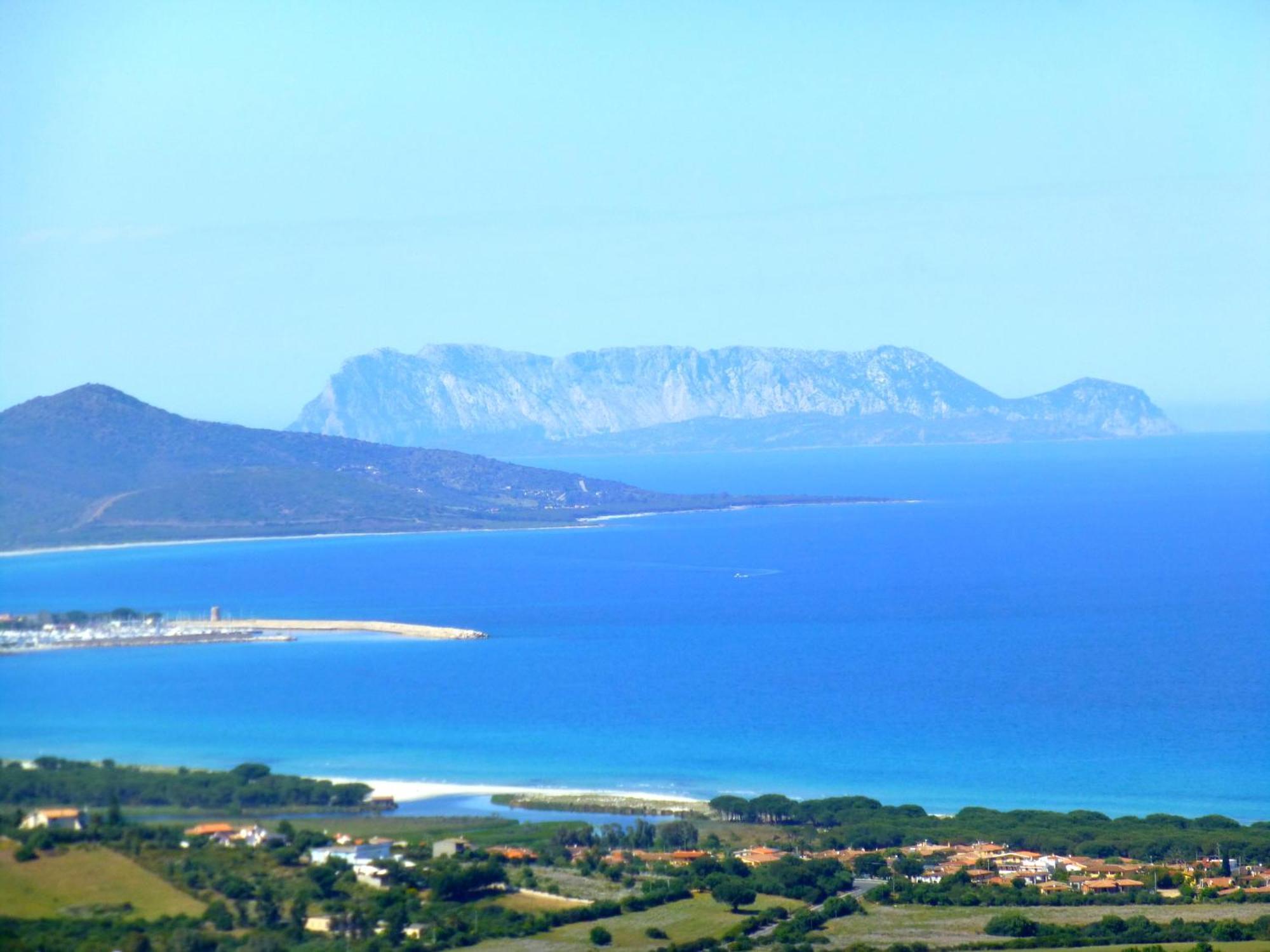 Comino Alto Agriturismo E Appartamenti Siniscola Kültér fotó