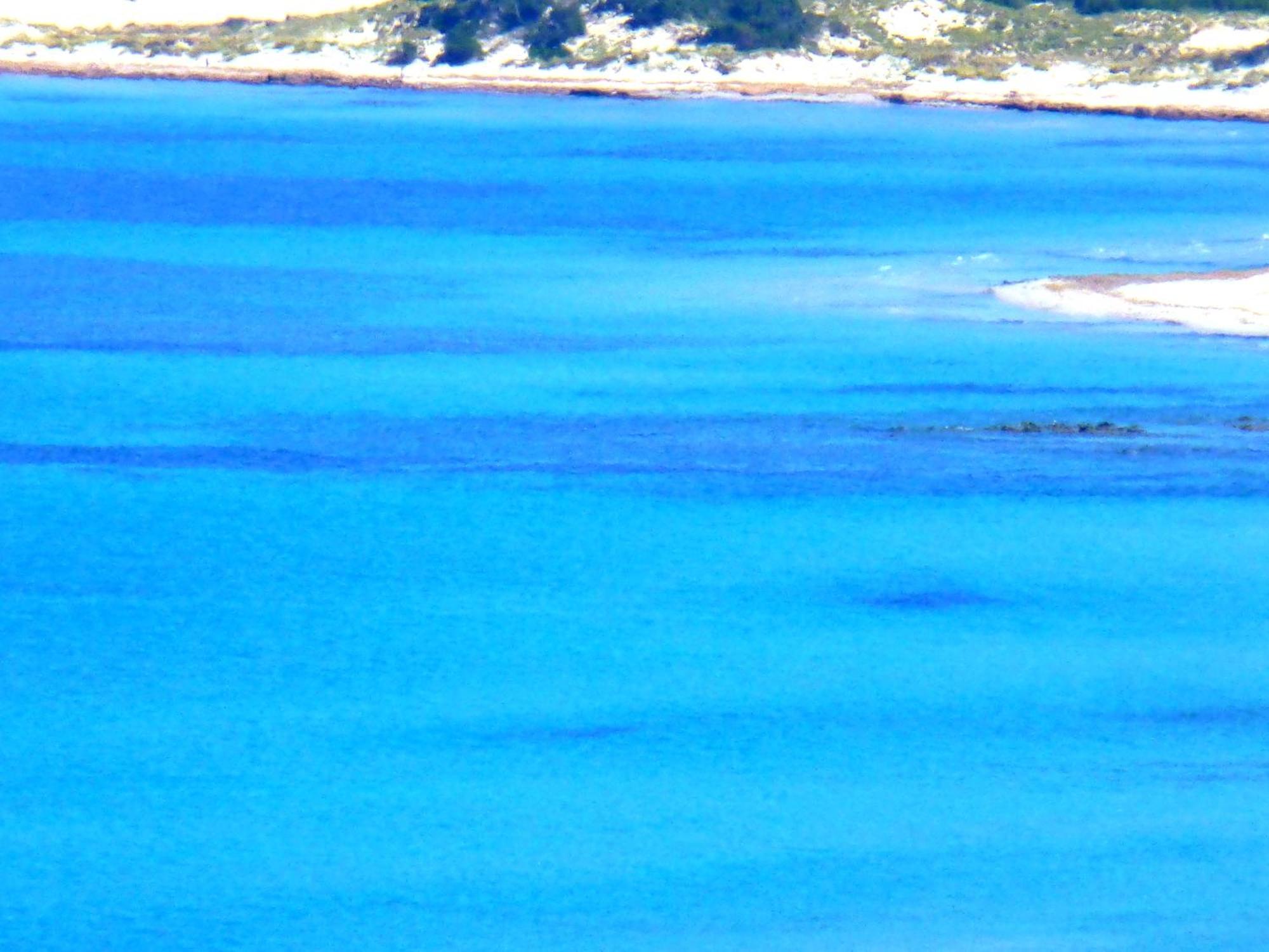 Comino Alto Agriturismo E Appartamenti Siniscola Kültér fotó