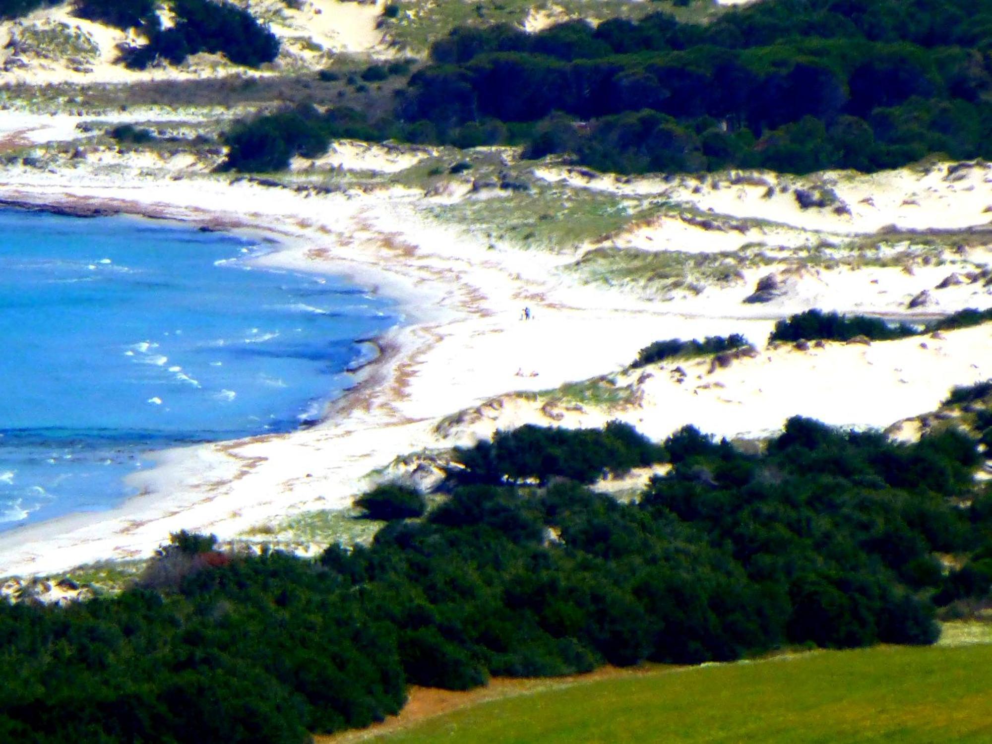 Comino Alto Agriturismo E Appartamenti Siniscola Kültér fotó