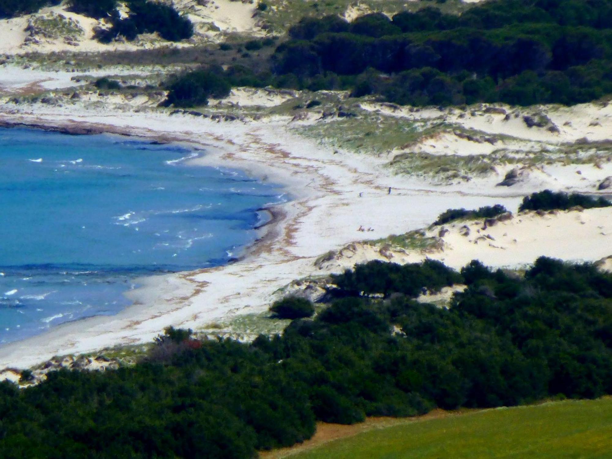 Comino Alto Agriturismo E Appartamenti Siniscola Kültér fotó