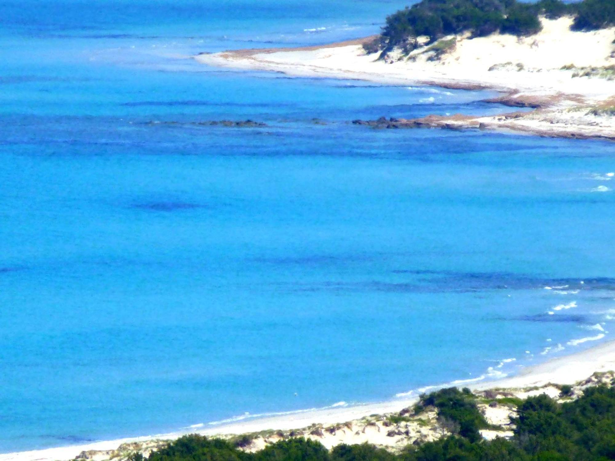 Comino Alto Agriturismo E Appartamenti Siniscola Kültér fotó