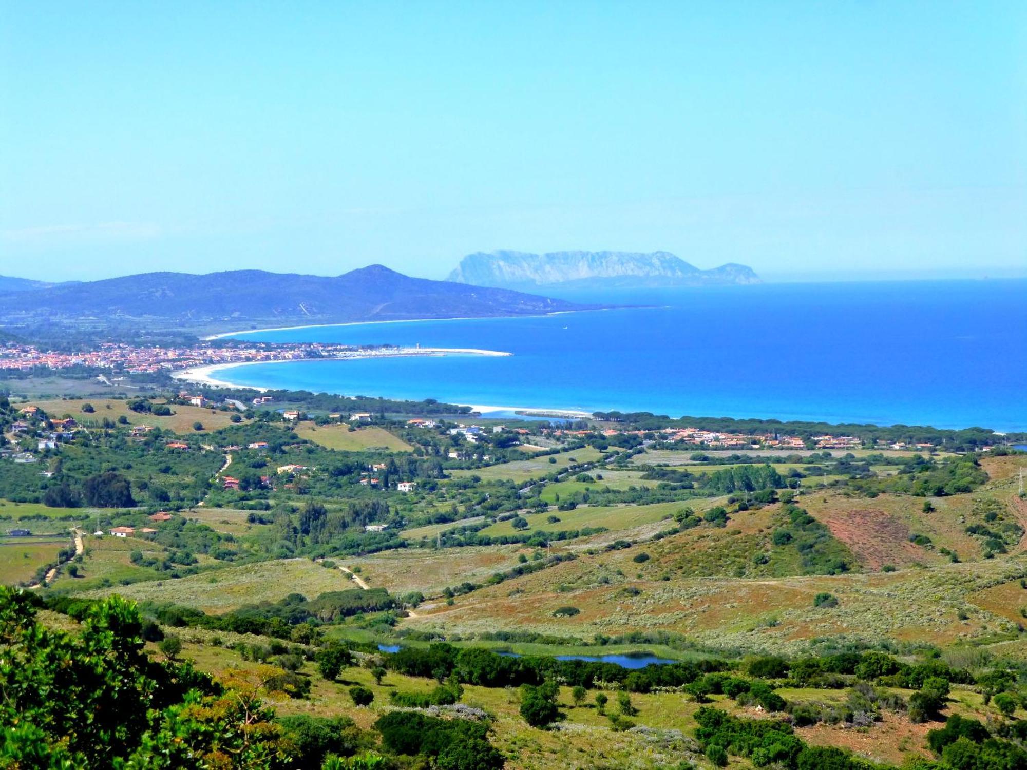 Comino Alto Agriturismo E Appartamenti Siniscola Kültér fotó
