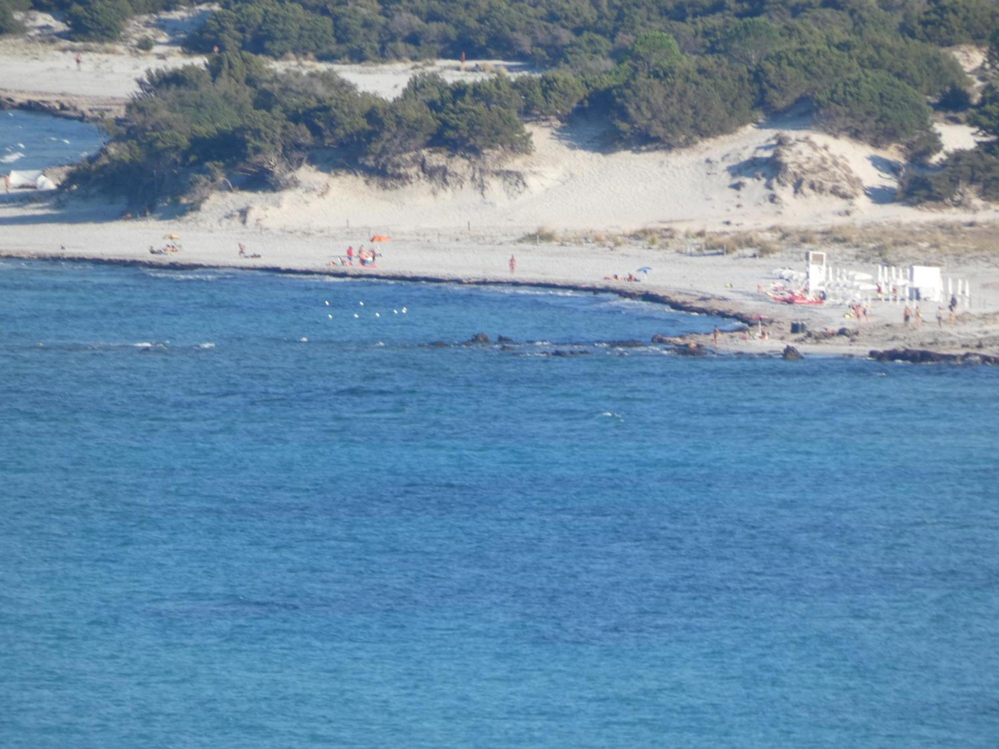 Comino Alto Agriturismo E Appartamenti Siniscola Kültér fotó