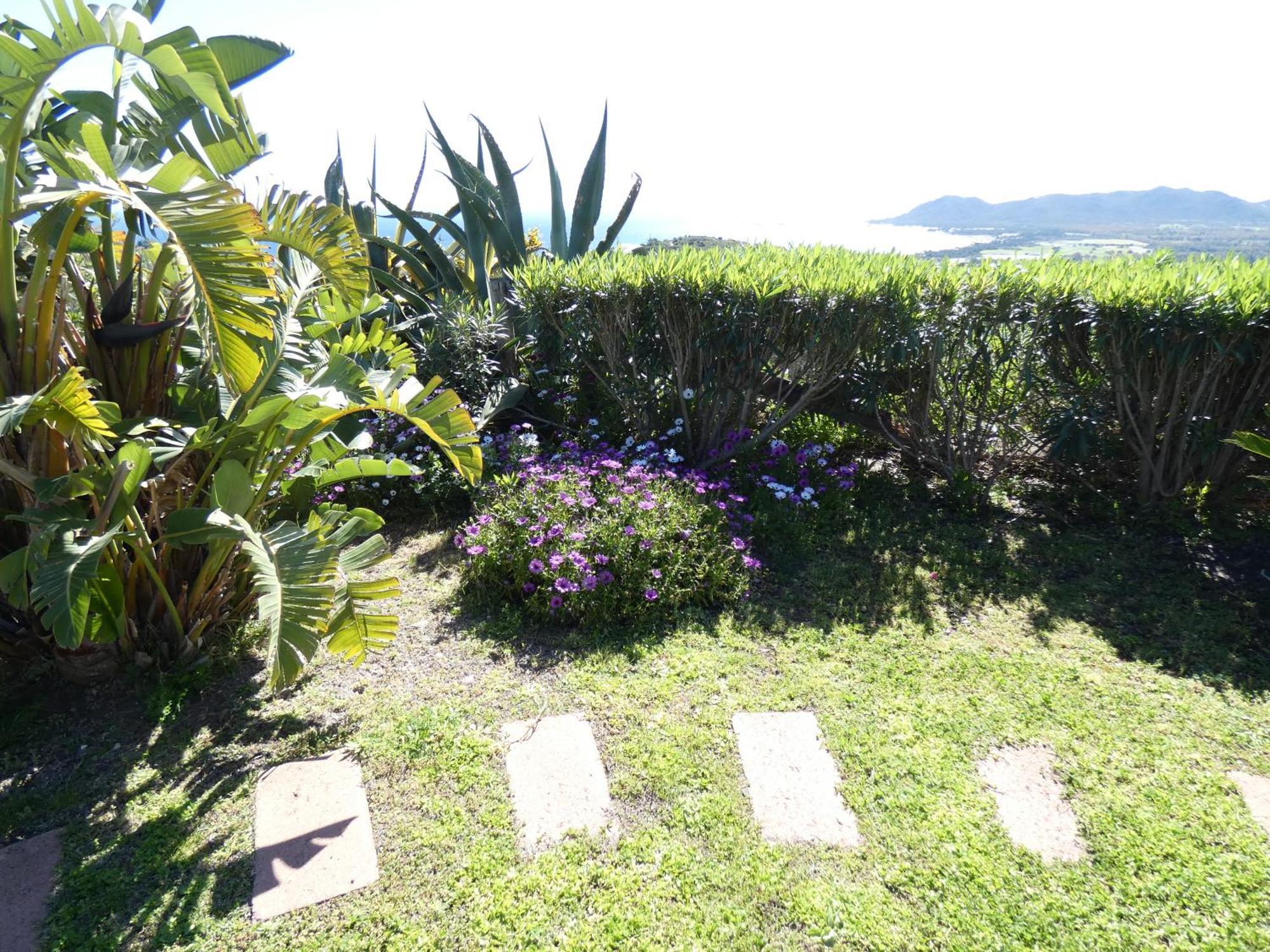 Comino Alto Agriturismo E Appartamenti Siniscola Kültér fotó