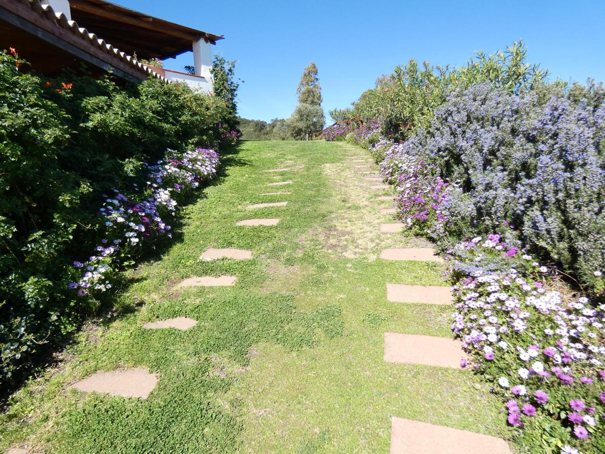 Comino Alto Agriturismo E Appartamenti Siniscola Kültér fotó